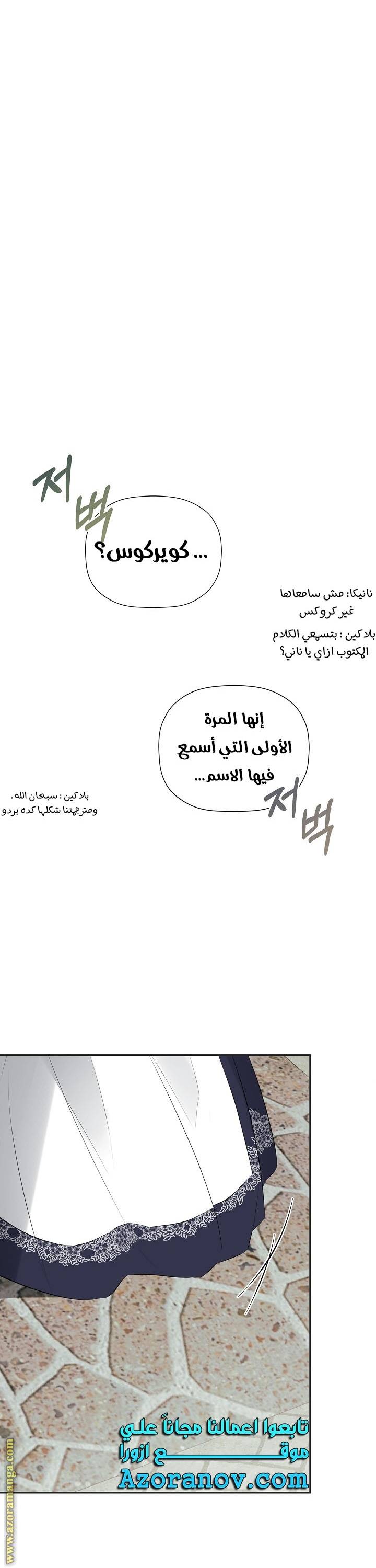 الصفحة 19