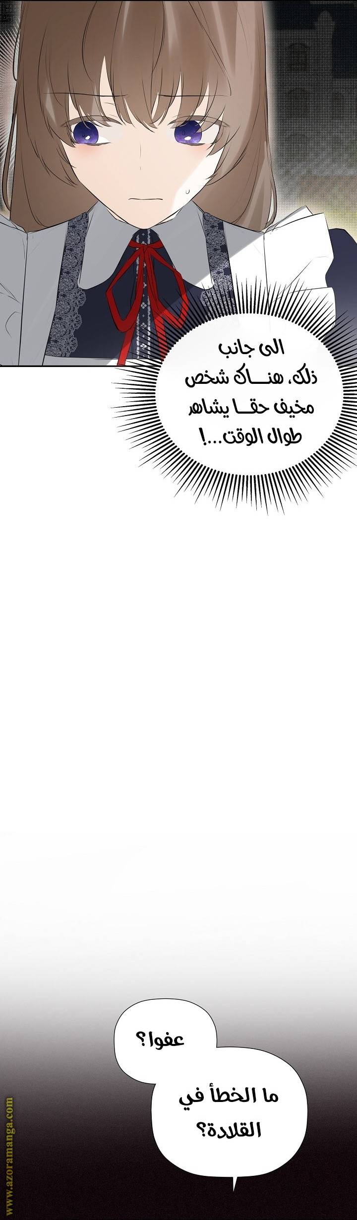 الصفحة 27