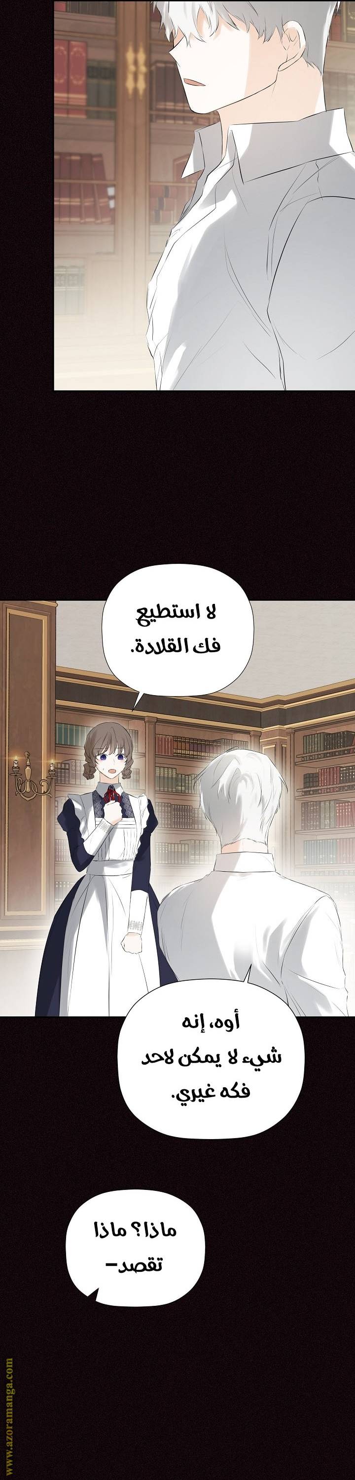 الصفحة 28