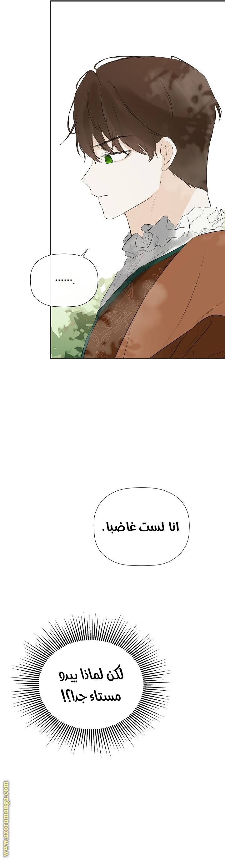 الصفحة 41