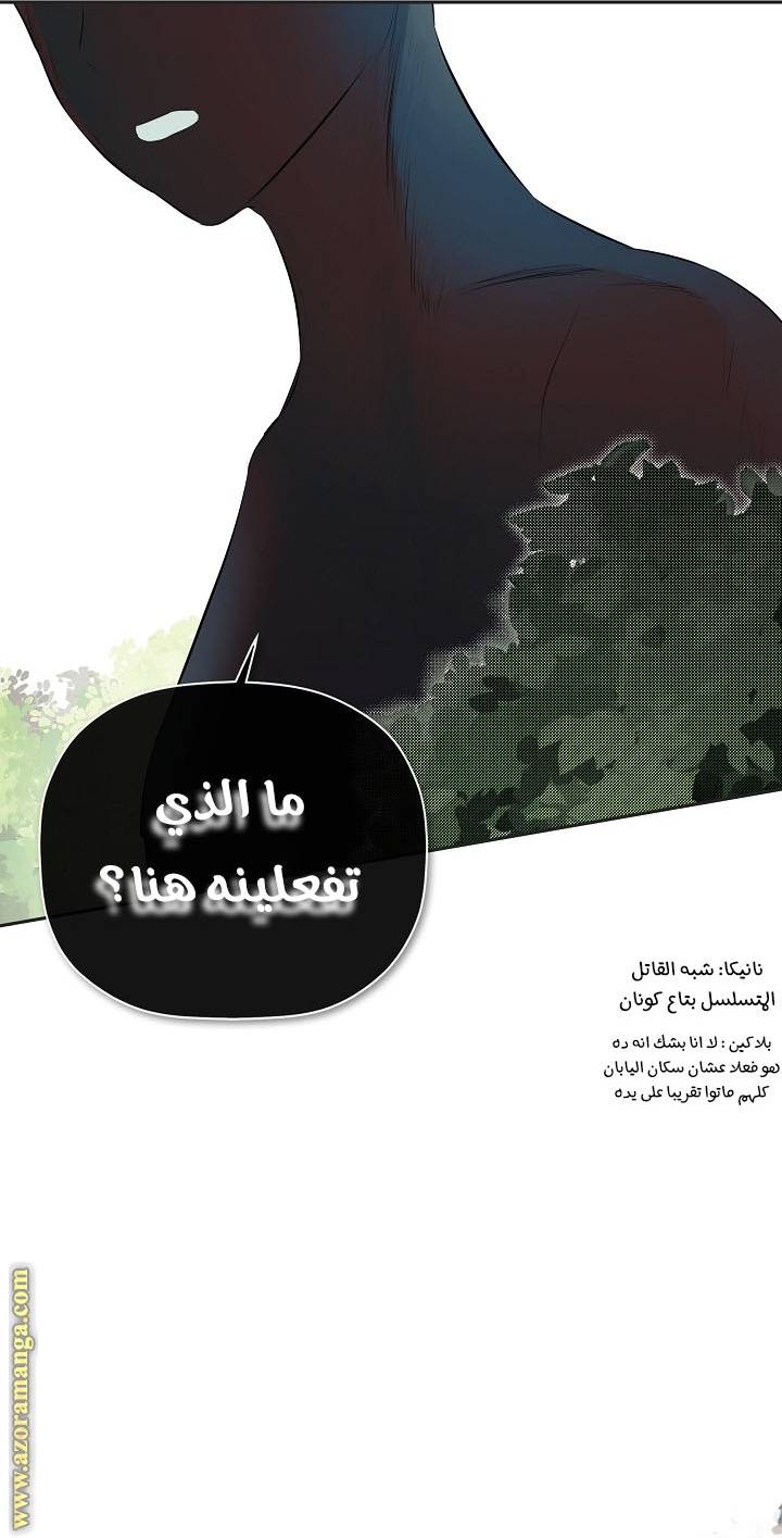 الصفحة 46