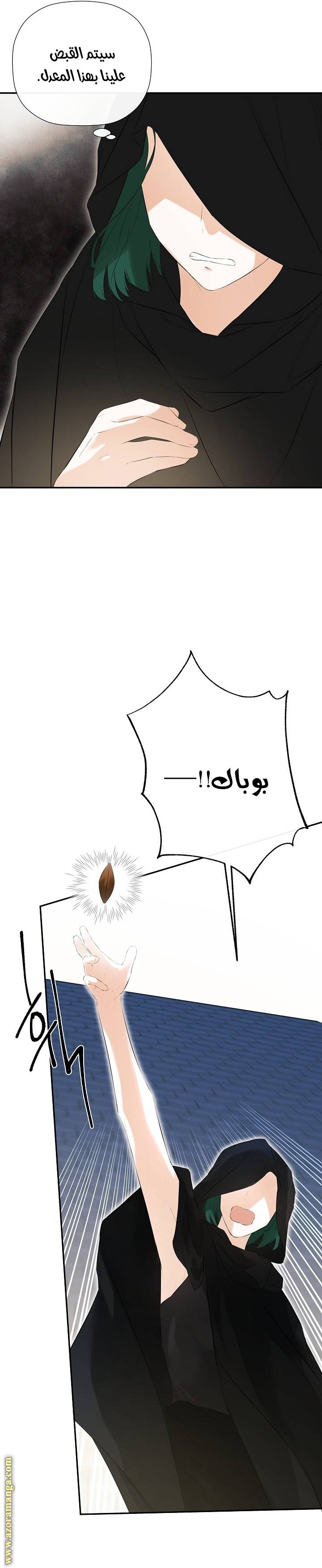 الصفحة 20