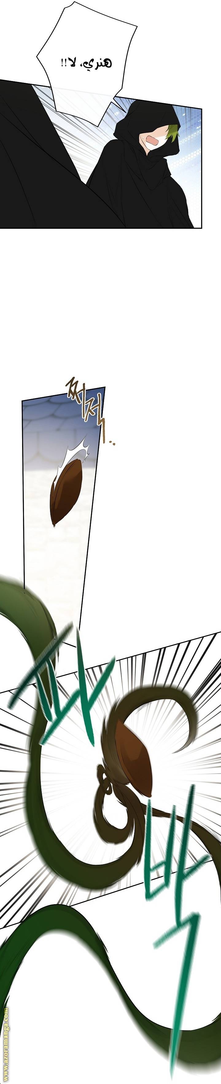 الصفحة 21