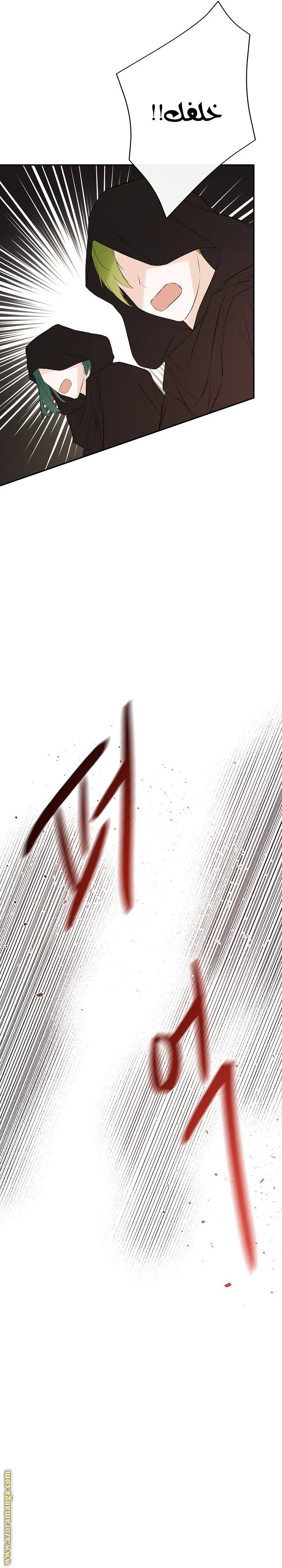 الصفحة 24