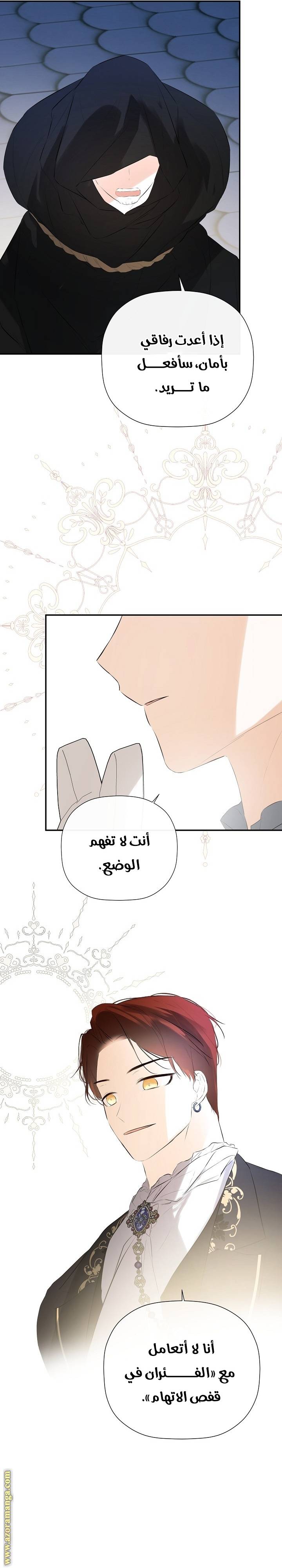 الصفحة 27