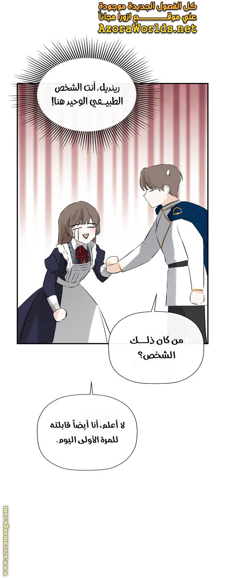 الصفحة 13