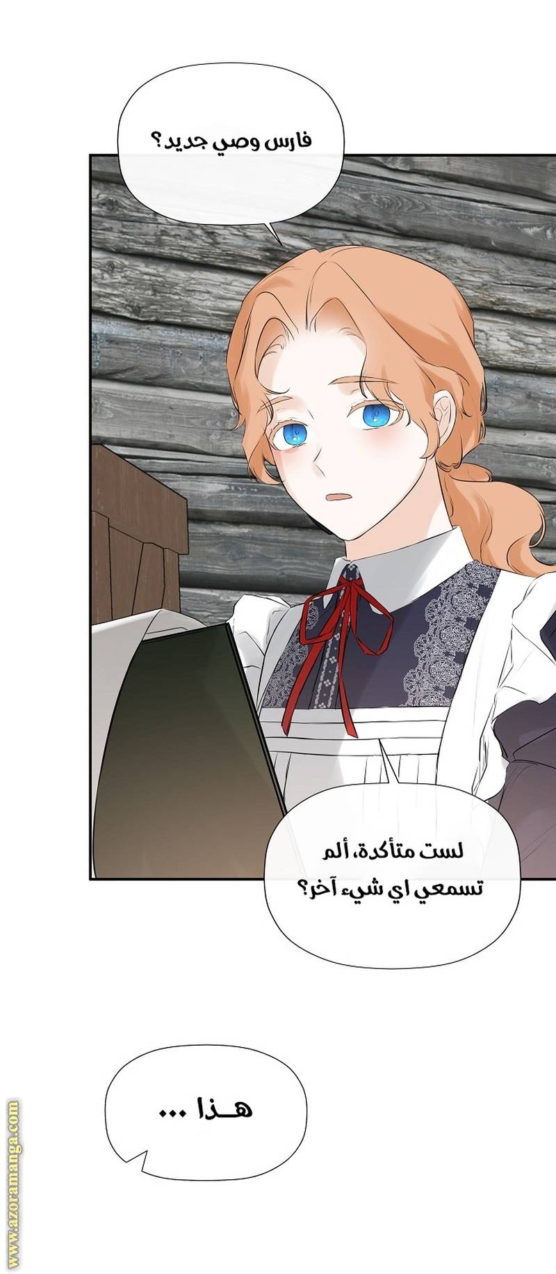 الصفحة 26