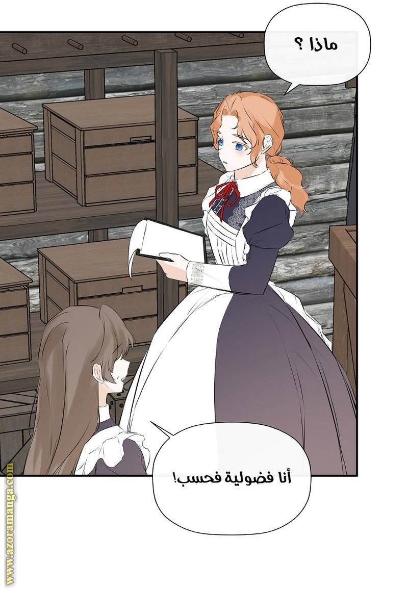 الصفحة 27