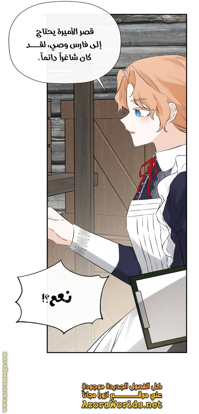 الصفحة 28