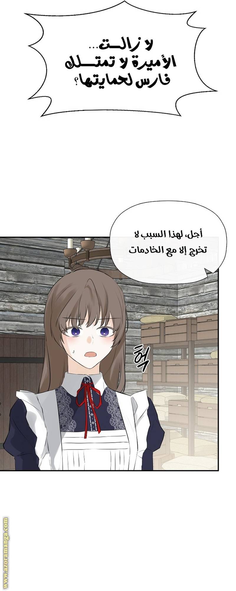 الصفحة 29