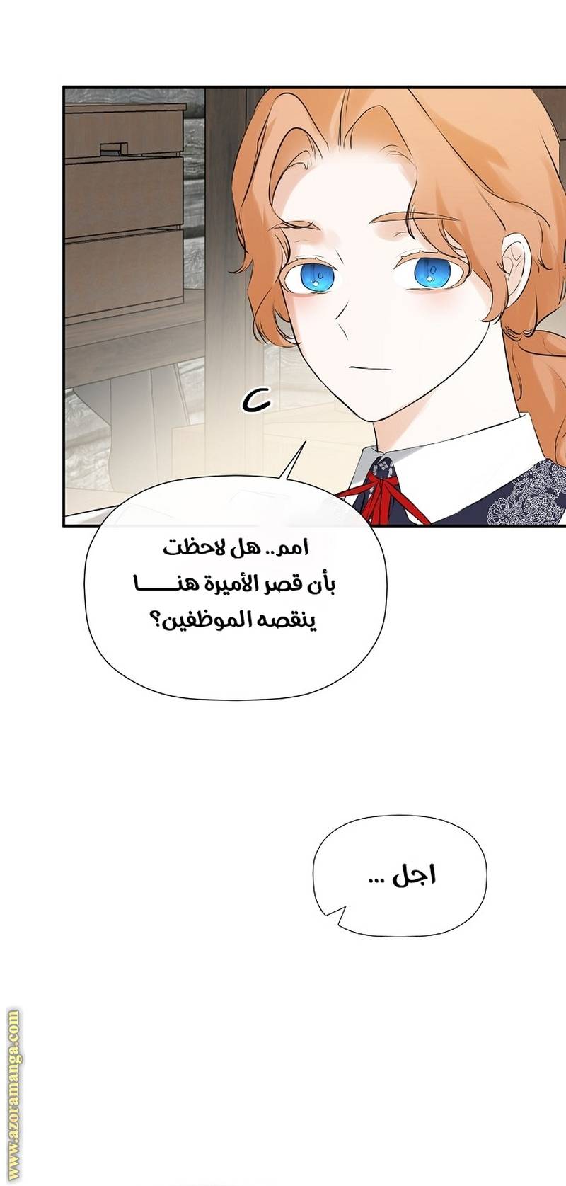 الصفحة 30