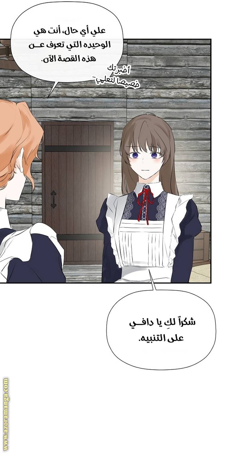 الصفحة 41