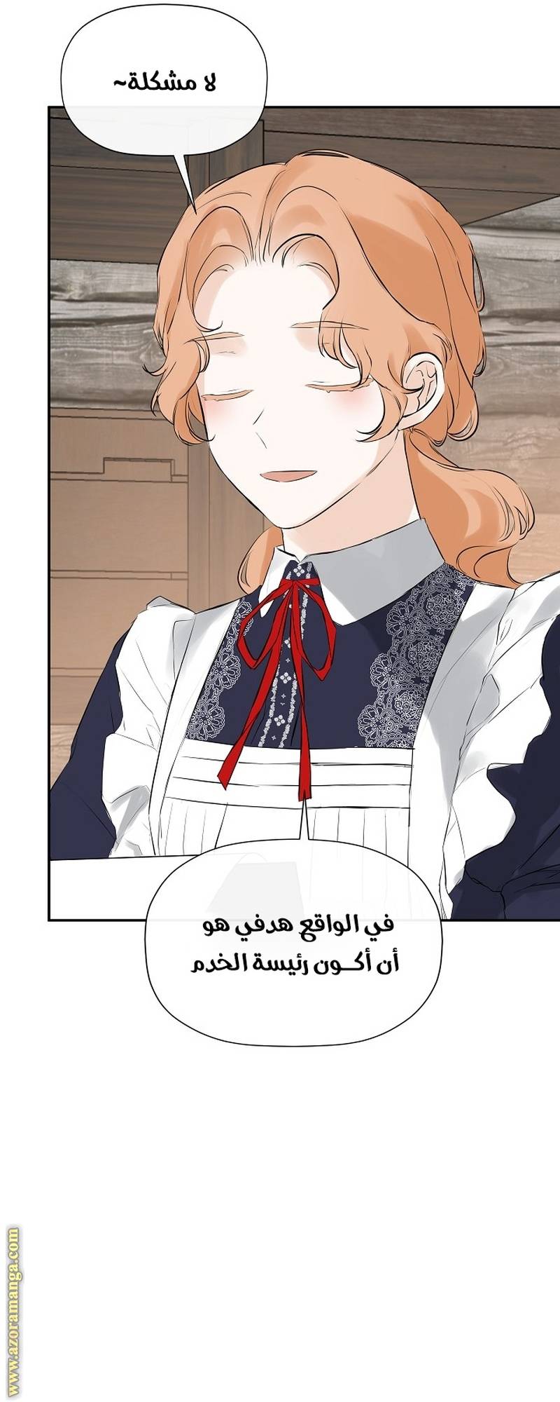 الصفحة 42