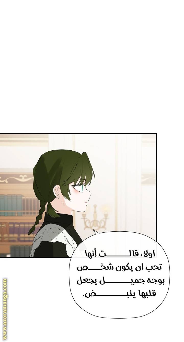 الصفحة 27