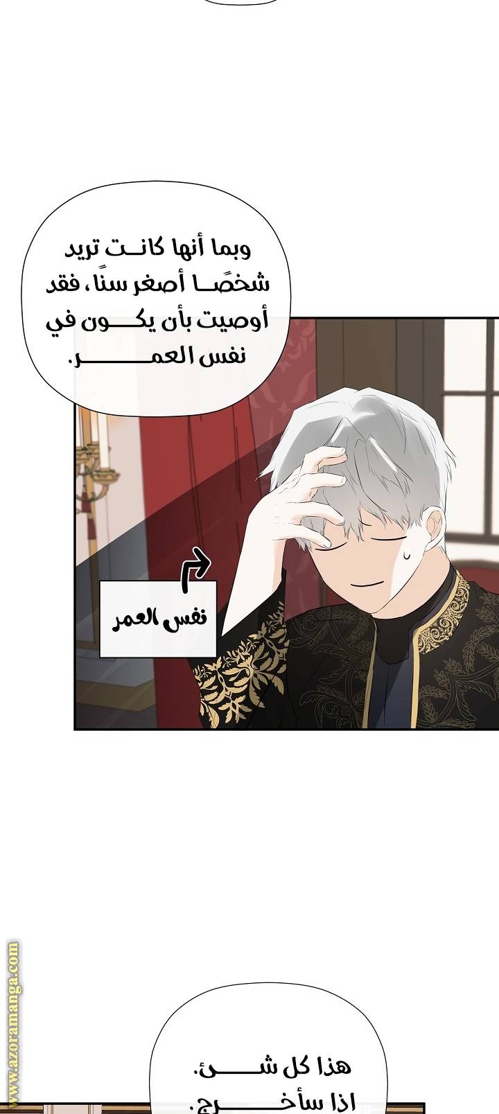 الصفحة 29