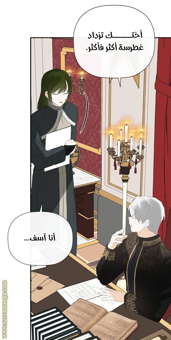 الصفحة 31