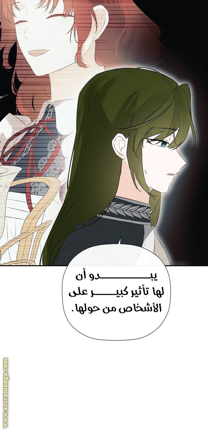 الصفحة 45