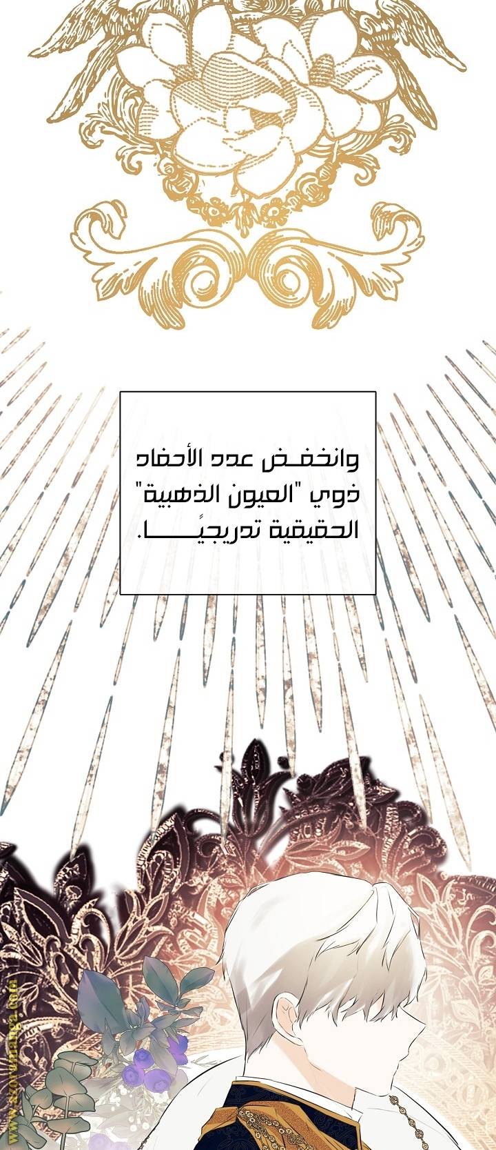 الصفحة 53