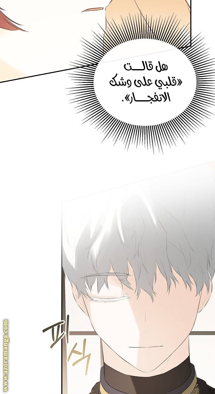 الصفحة 68
