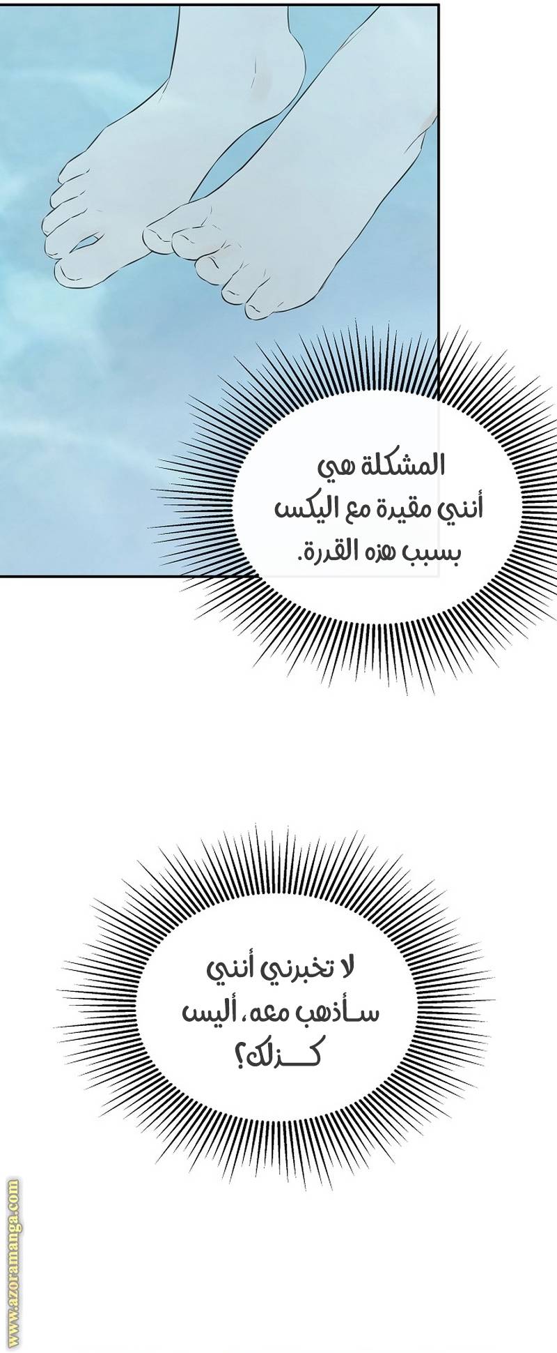 الصفحة 43