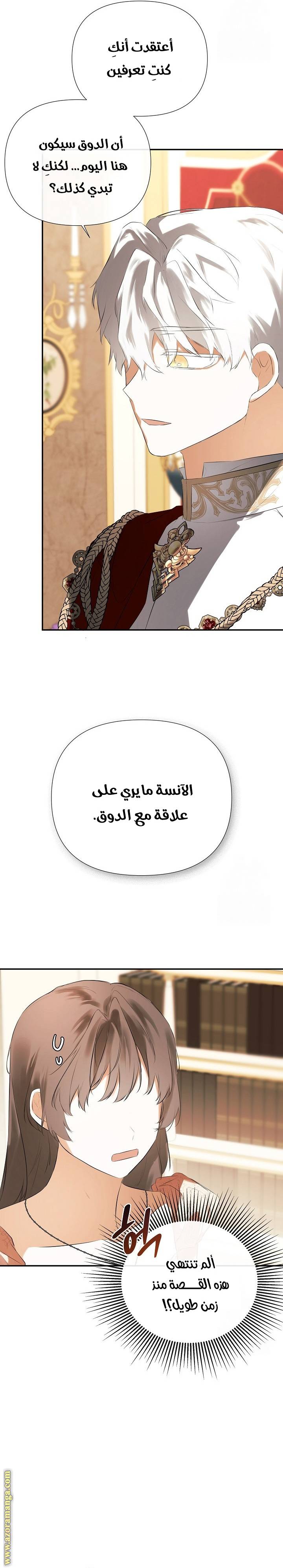 الصفحة 17