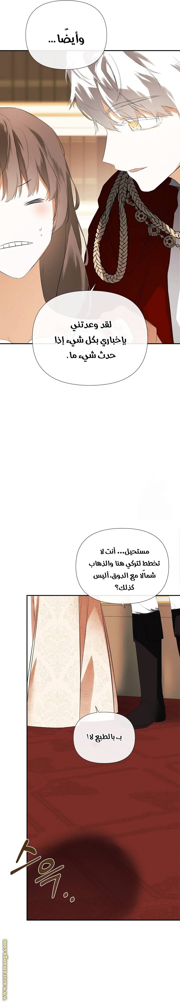 الصفحة 19