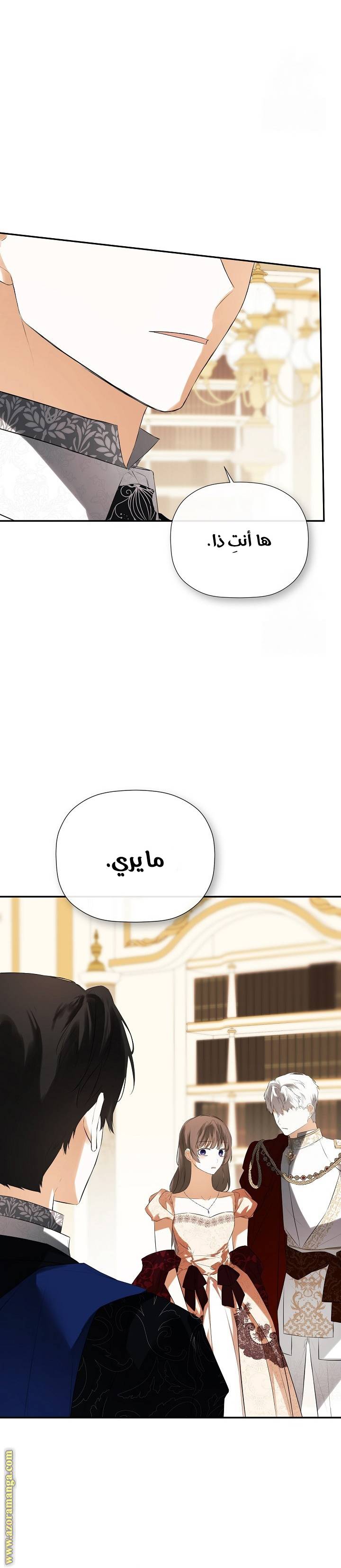 الصفحة 20