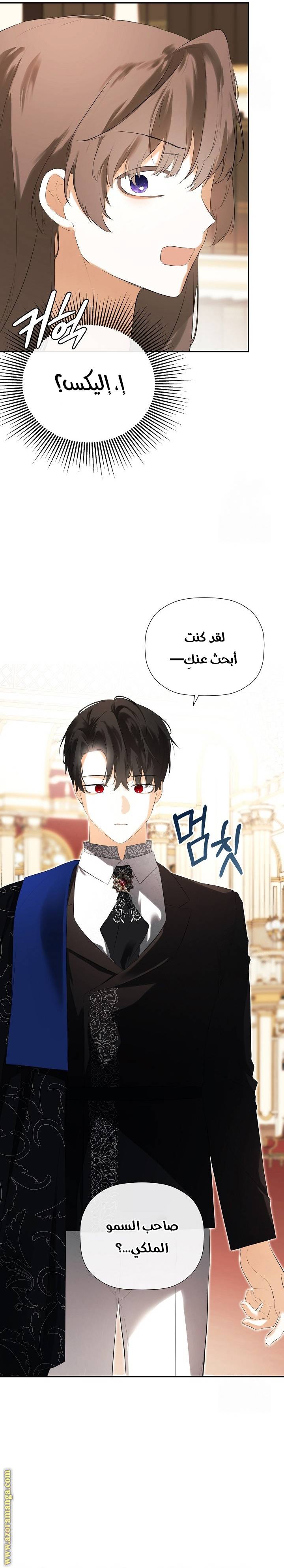 الصفحة 21