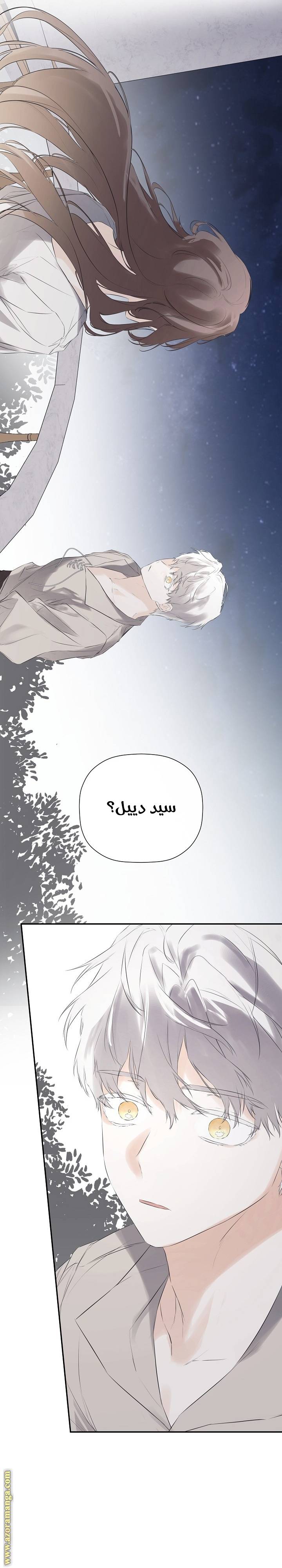 الصفحة 21