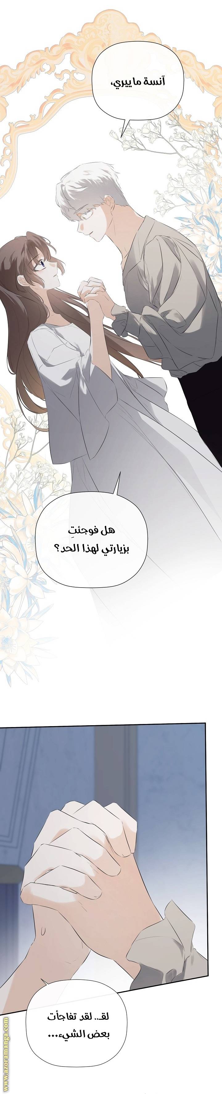 الصفحة 25