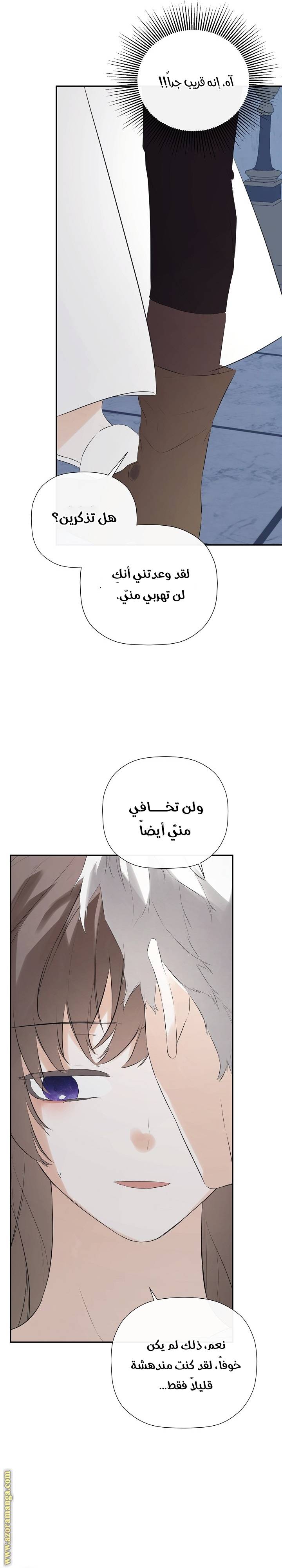 الصفحة 26