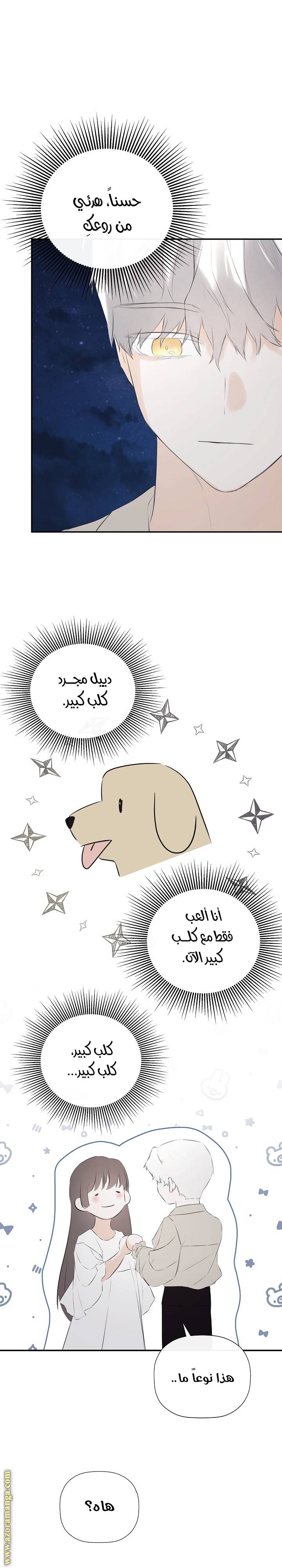 الصفحة 29