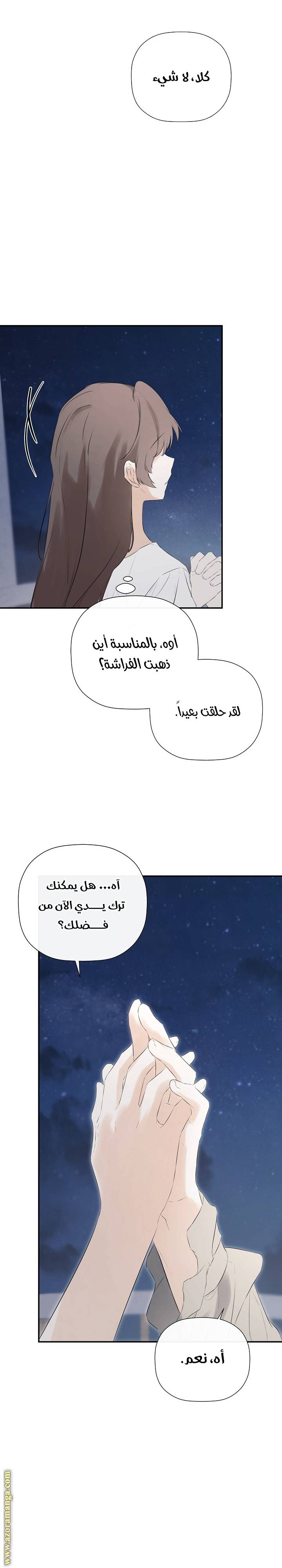 الصفحة 30