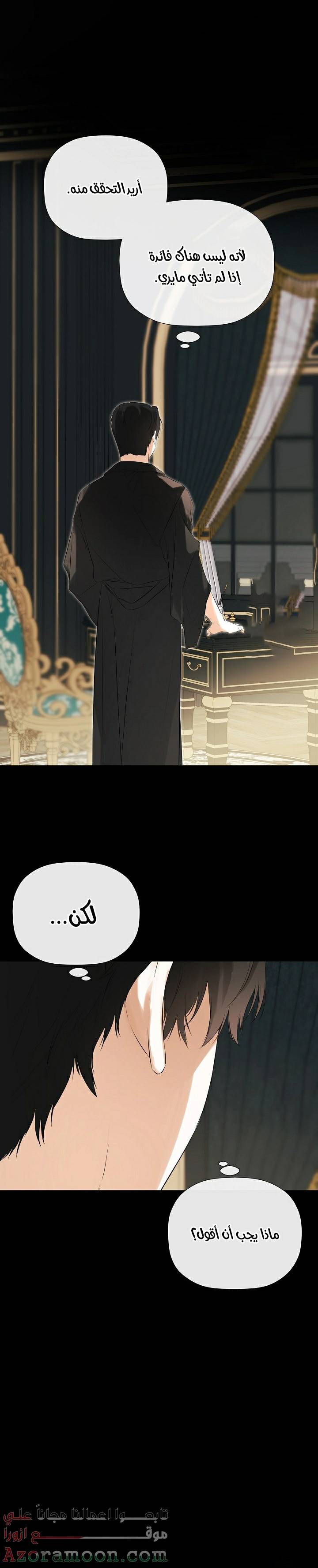 الصفحة 25