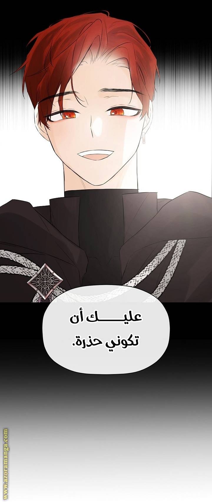 الصفحة 17