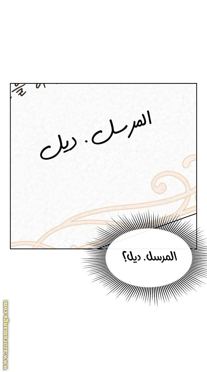 الصفحة 28