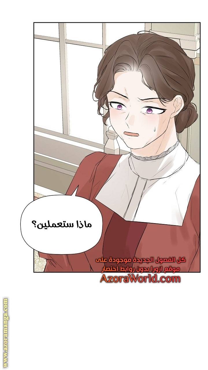 الصفحة 46