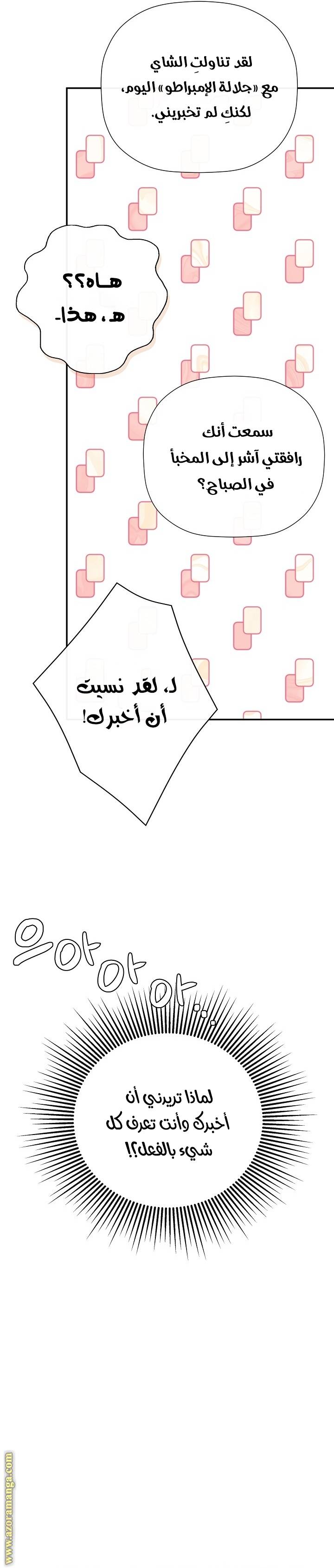 الصفحة 14