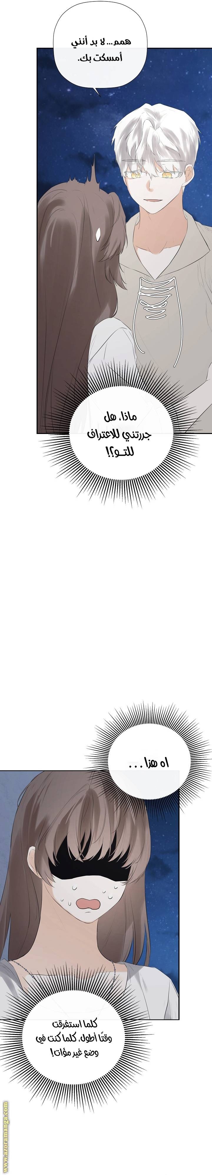 الصفحة 17