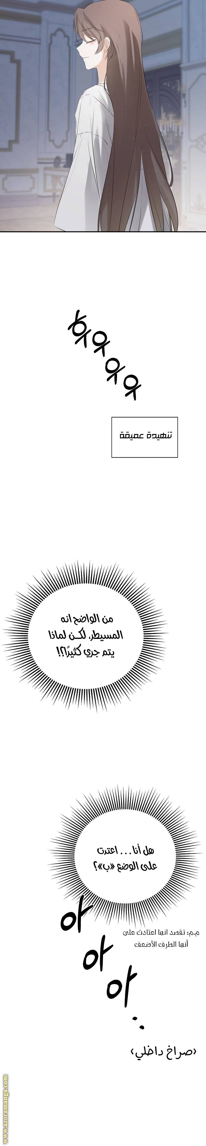 الصفحة 22