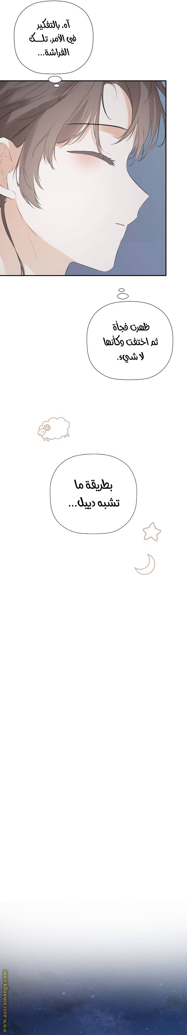 الصفحة 24
