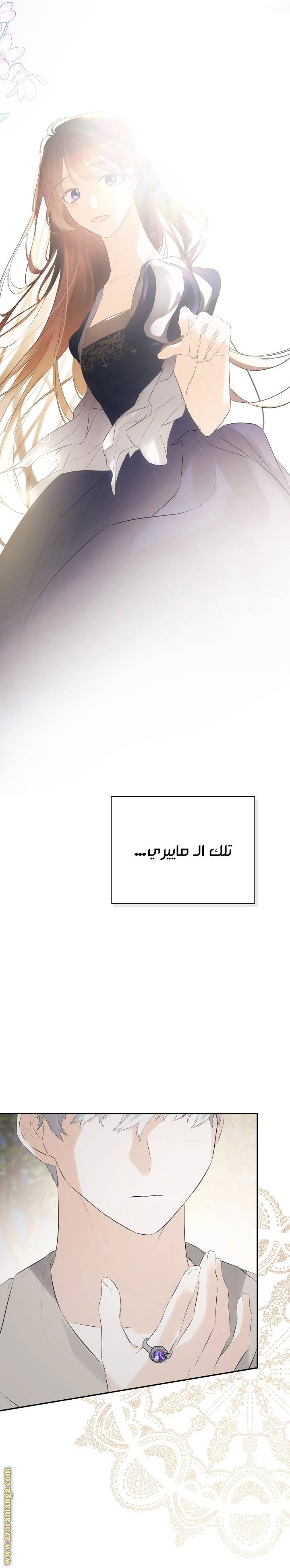 الصفحة 29
