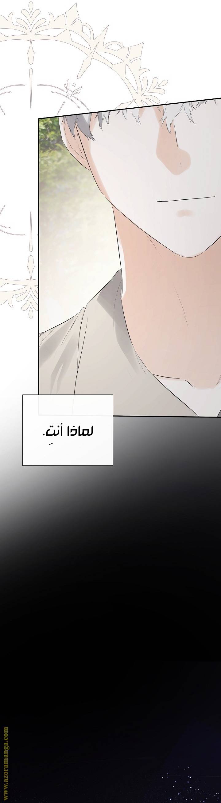الصفحة 30