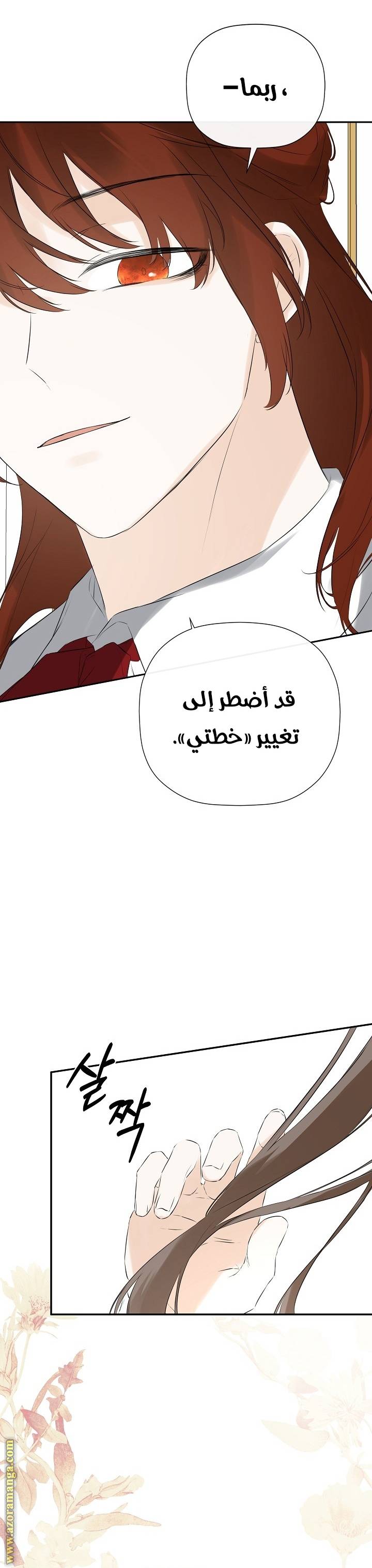 الصفحة 27