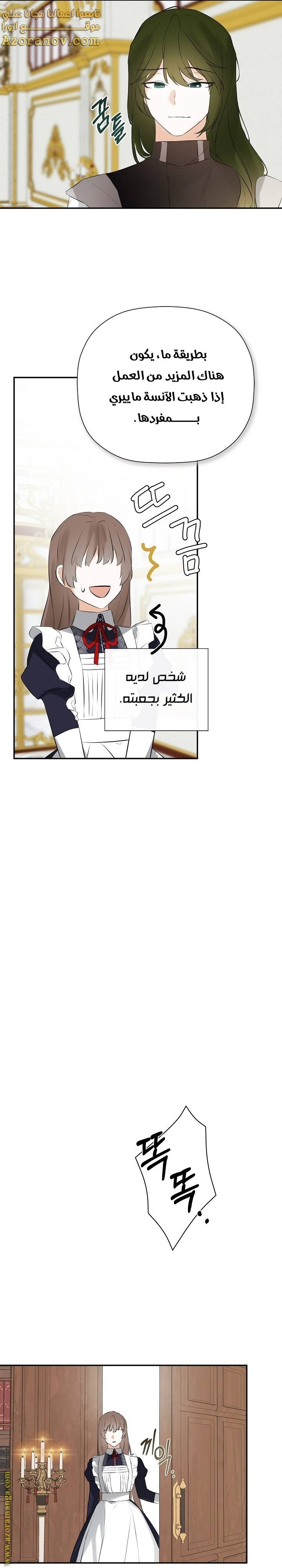 الصفحة 19