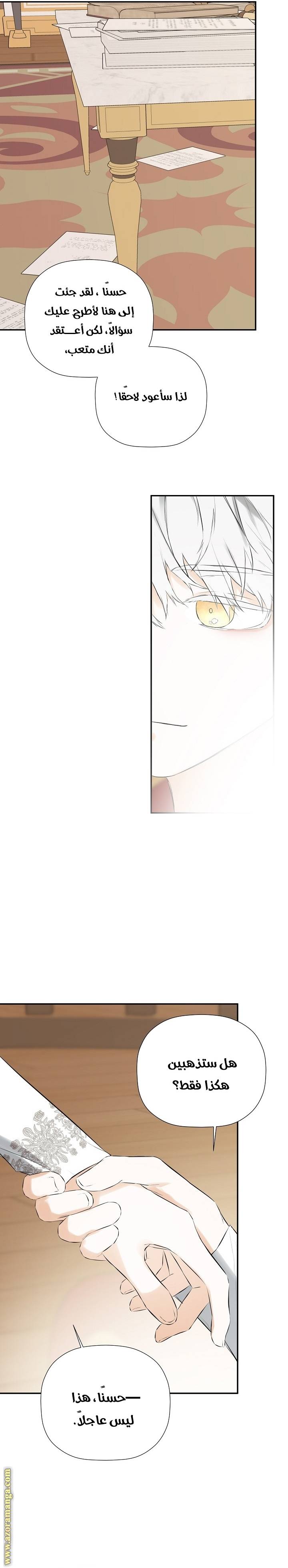 الصفحة 27