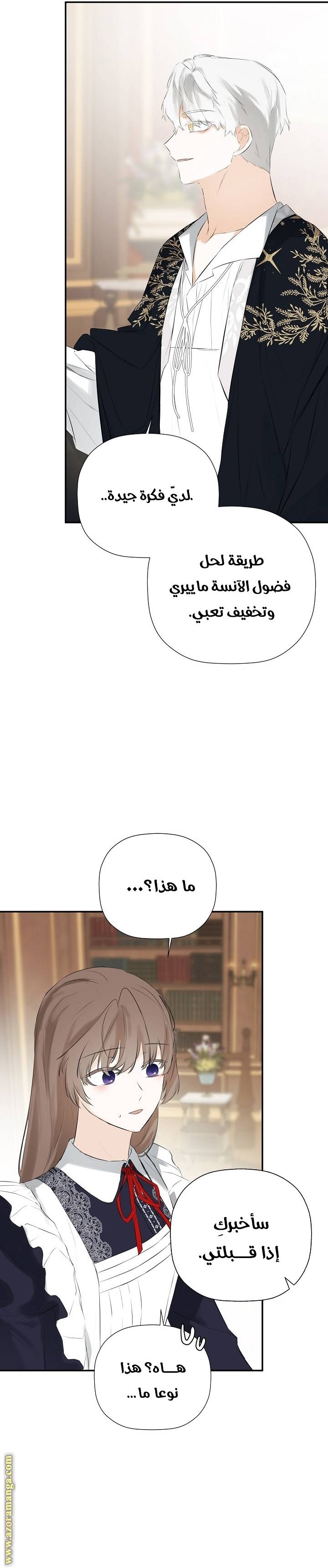 الصفحة 28
