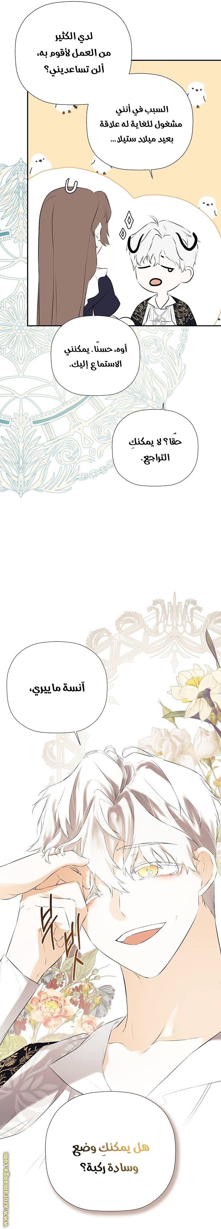 الصفحة 29