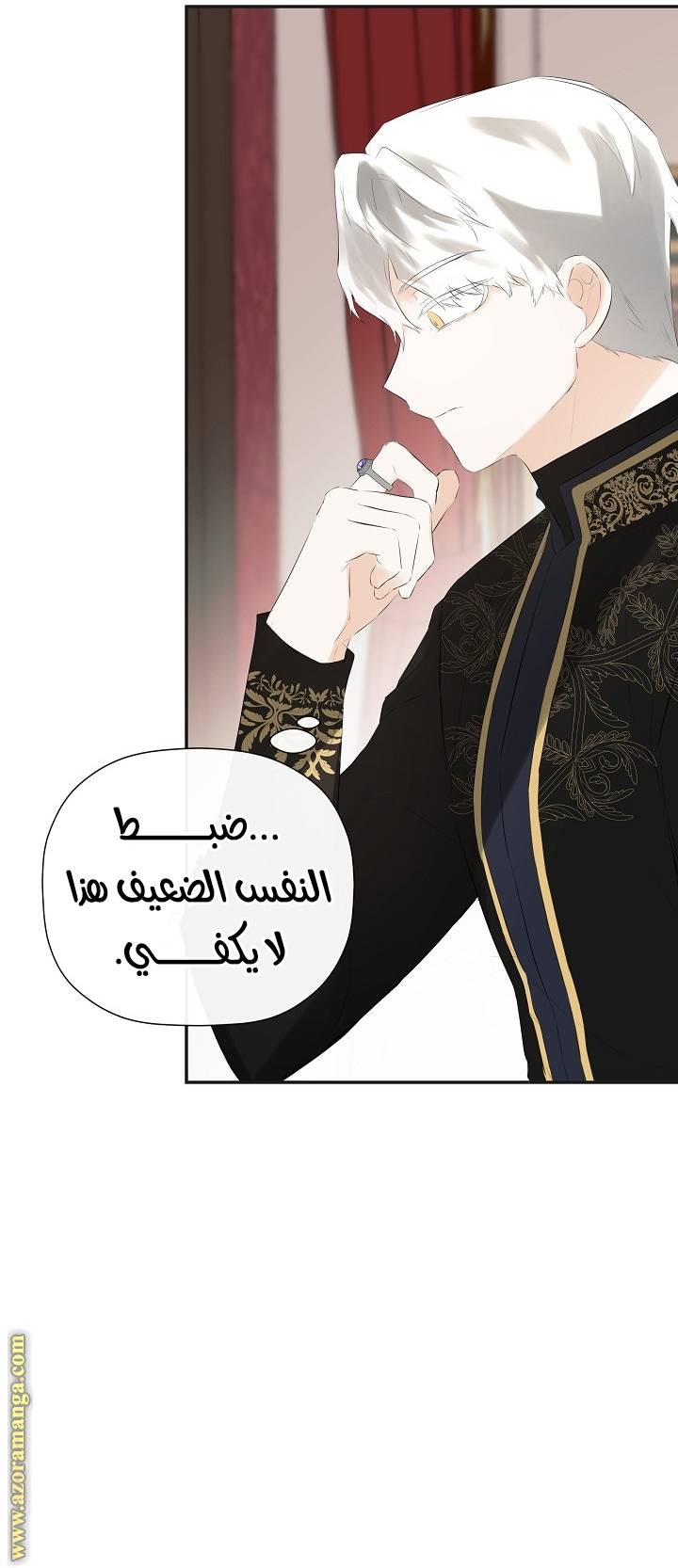الصفحة 16