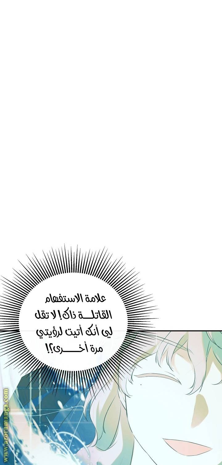 الصفحة 31